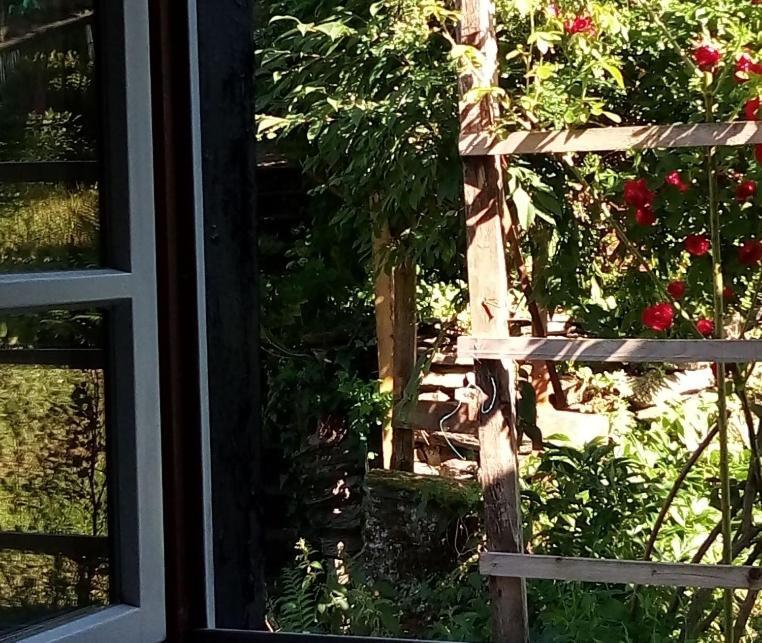 Haus Am Oberen Muehlenberg Mit Gartennutzung Monschau Zewnętrze zdjęcie
